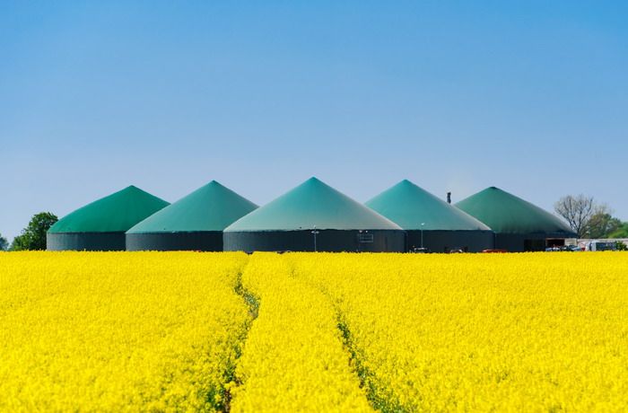Biogas Wichtiger denn je?